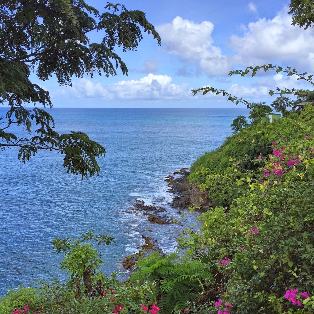 St. Lucia~Sandals~La Toc